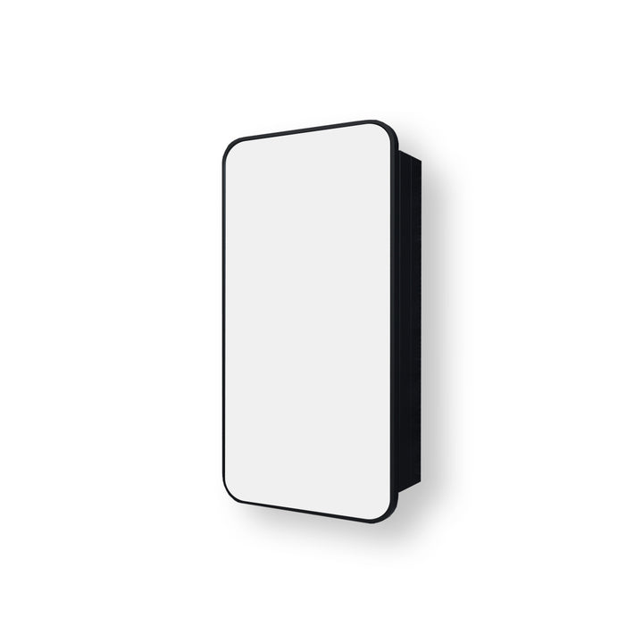 Nivis 15 in. W x 24 in. H Matte Black Rectangular Aluminum Framed Medicine Cabinet with Mirror