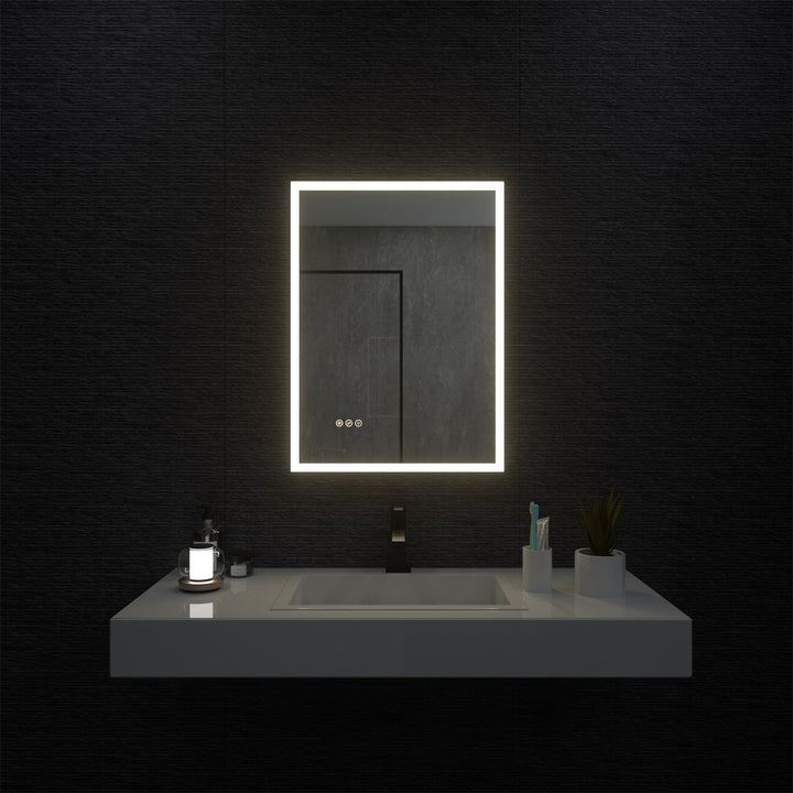 Essence 22 in. W x 30 in. H LED Vanity Mirror