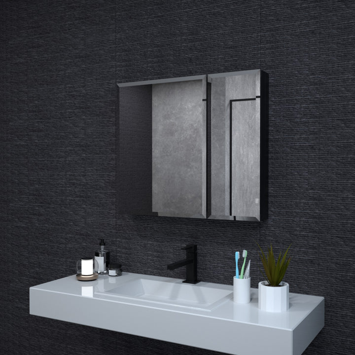 Levity 30 in. W x 26 in. H Matte Black Medicine Cabinet